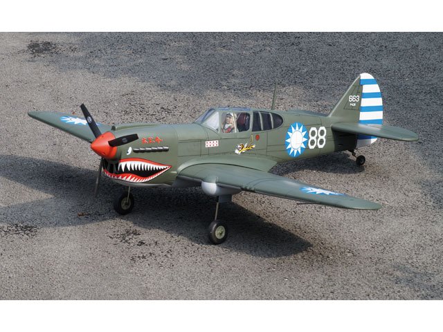 Curtis P-40 AVG / 1570 mm
