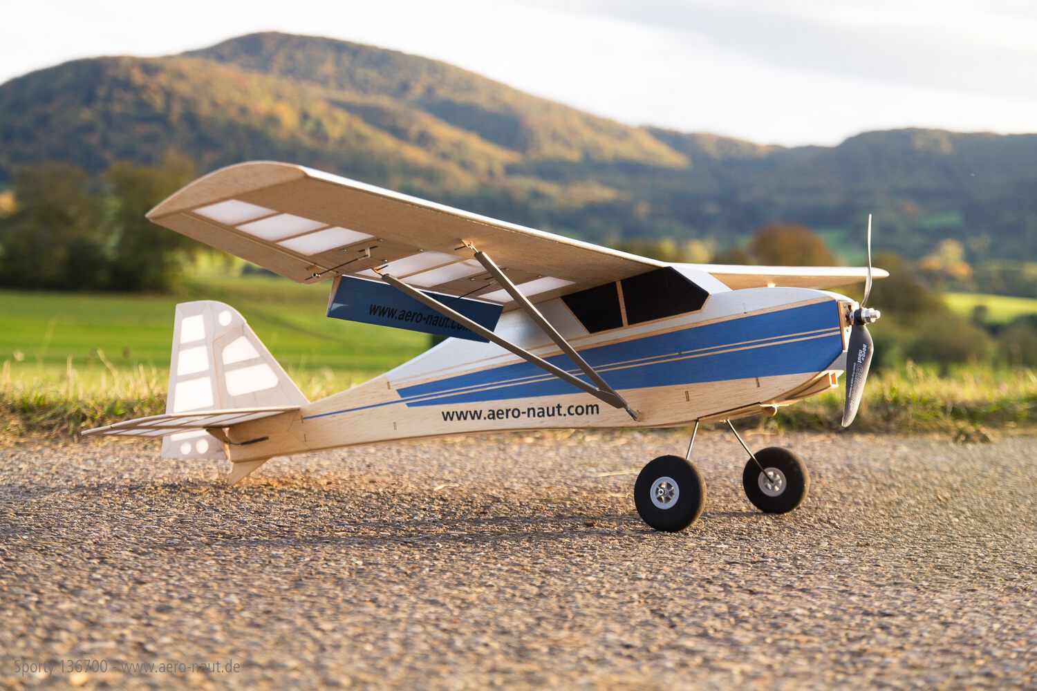 Sporty Querrudertrainer RC Modell Bausatz