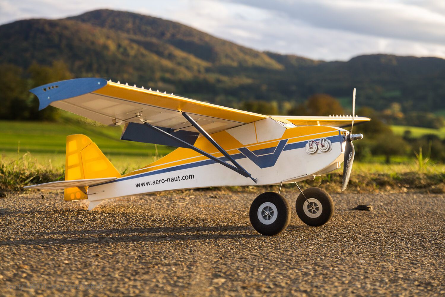 Sporty Querrudertrainer RC Modell Bausatz
