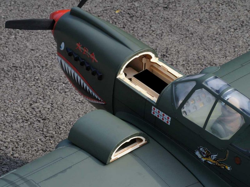 Curtis P-40 AVG / 1570 mm